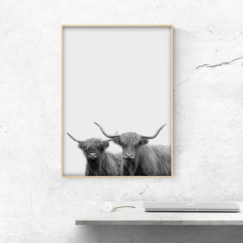 Highland-Cow-Canvas-Art-Print-and-Poster-Modern-Animal-Photography-Canvas-Painting-Wall-Art-Pictute-Home