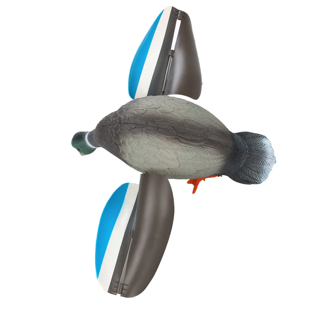 CL38-0006_2