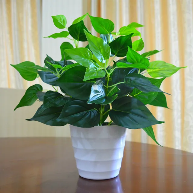 Amenmo Jardim Decoração Folhas Verdes Da Planta Vida Como Epipremnum Amenmo Jardim Decoração Folhas Verdes Da Planta Vida Como Epipremnum Aureum Vasos De Flores Simulação Artificial