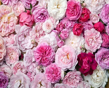 

Vinyl Photography Backdrops Colorful flowers background 5x7ft backdrops for Photo Studio photo fotografia Computer printing