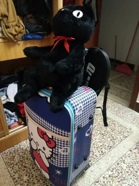 Редкий Miyazaki Hayao Kiki службы доставки Кики Черный кот Сумка чучело кукла плюшевые игрушки девочка подарок на день рождения
