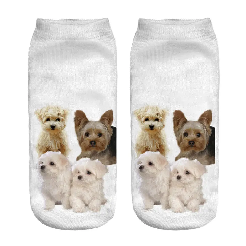 Женские короткие носки Schnauzer для молодых девушек, повседневные милые 3D Браслет на ногу с собакой, хлопковые носки с принтом для лета