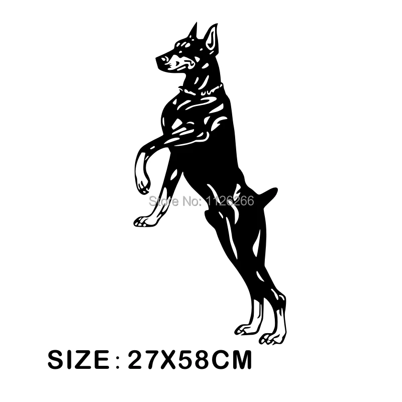 my2421-SIZE