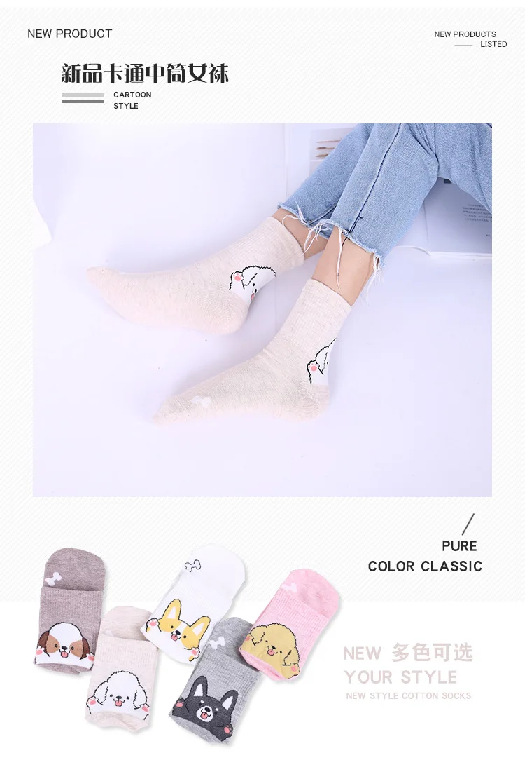 8577577896_259698019