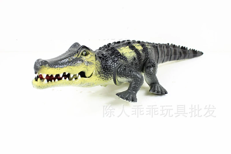 2577751220_1136313103