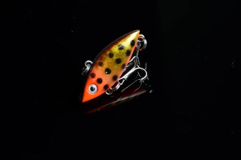 conew_dsc_2218