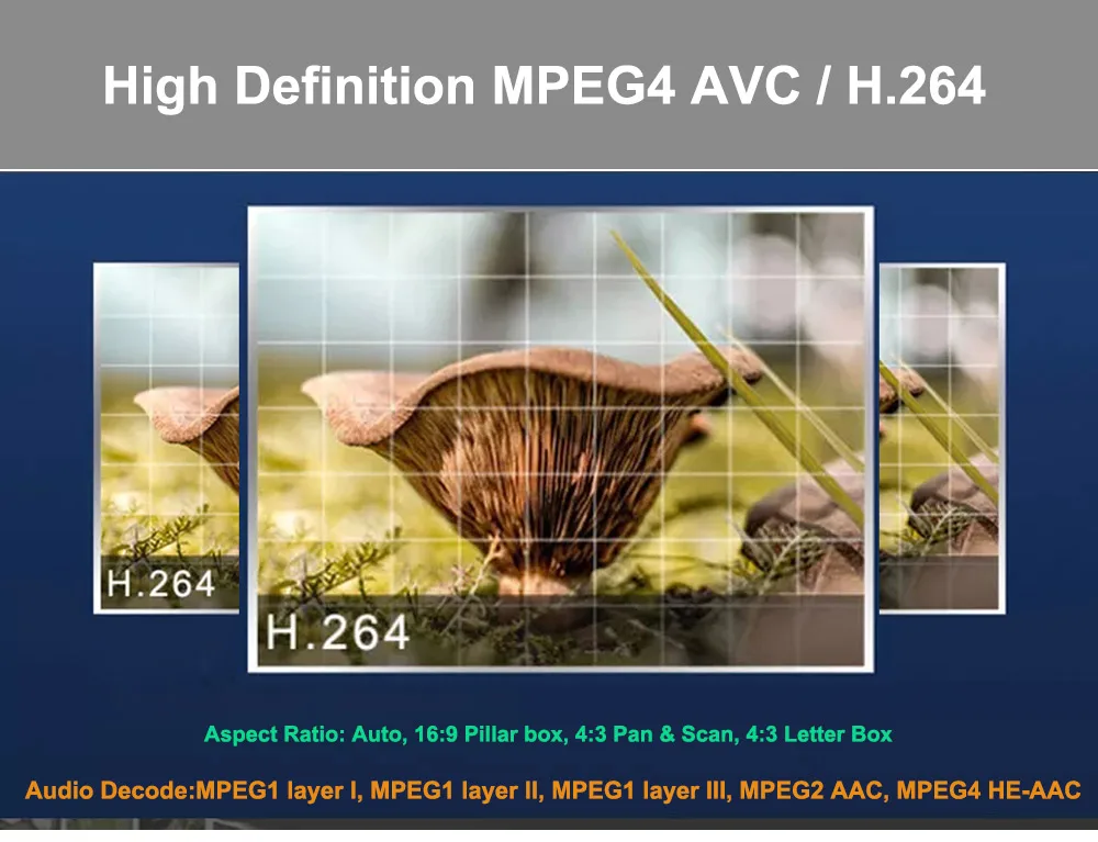 SATXTREM X800 Super dvb s2 спутниковый ресивер cccam испанско-португальский 8 Клайн для 1 года Европа рецептор MPEG4 HD приставка для цифрового тв с wifi MT7601