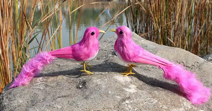 pink bird toy