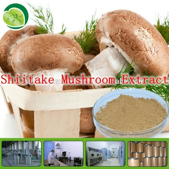 

500gram 100% Nature Shiitake Mushroom Extract Powder Lentinula Edodes Polysaccharide30% An excellent immune system booster