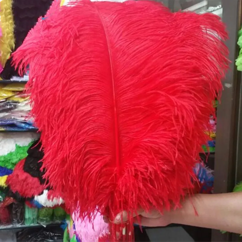 big pole ostrich feather red feathers 10 pcs 55 60cm / 22 24 inches