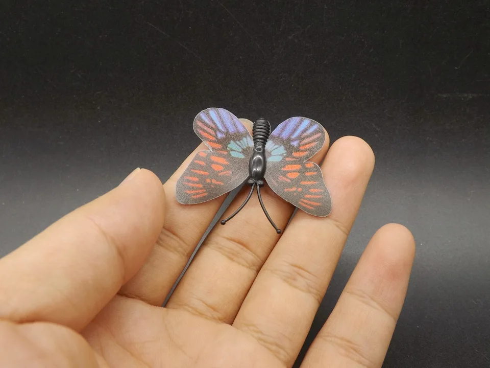 I246-Butterfly (3)