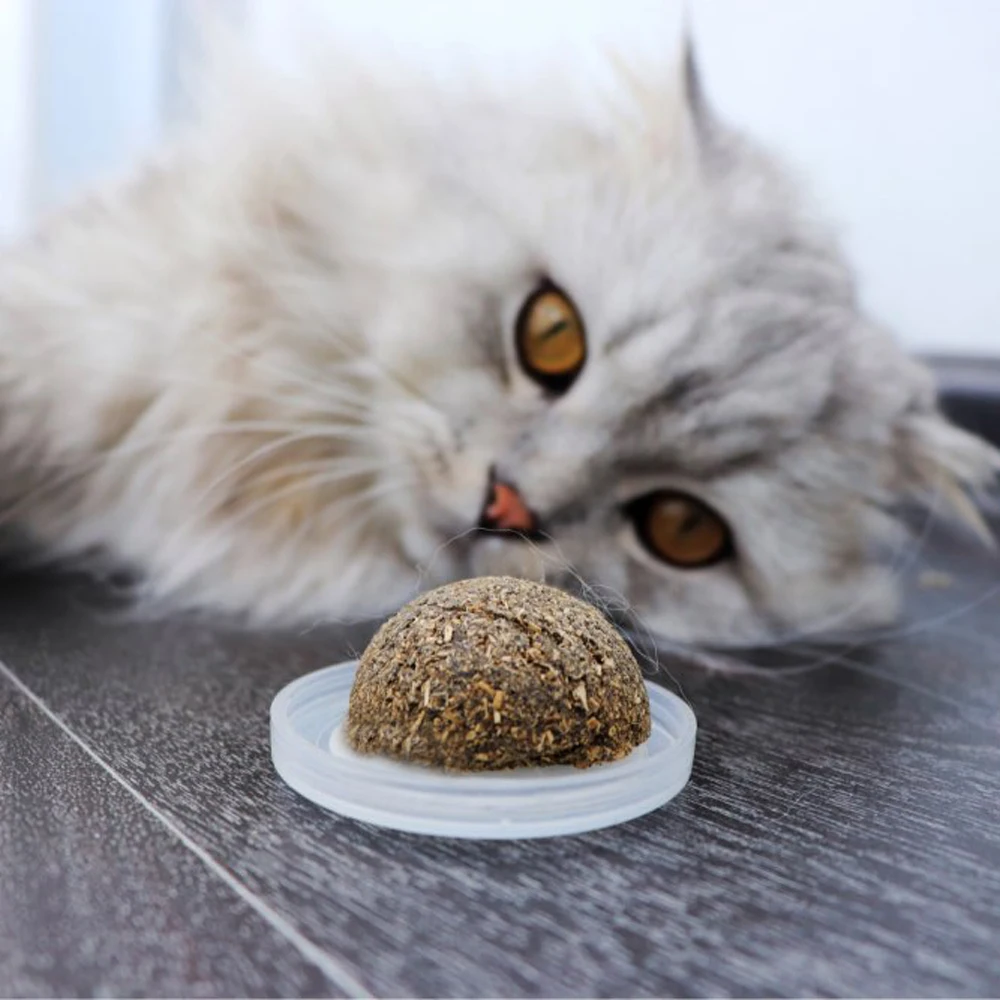 organic cat toys