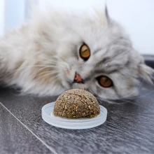 Natural Cat Toy Sugar Addicted Catnip Toys For Cats With Cover Spewing Hair Vitamin Supplement Adult Cat Supplies Pet Products