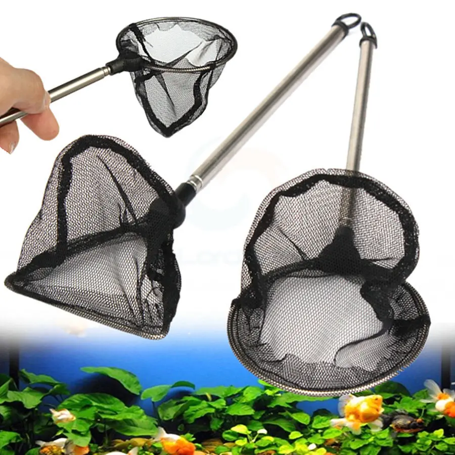 Fishing nets Green 6 inches Aquarium Accessories Fish Tank Fish Fishing Net Round Square Fish Fishing Hand Retractable Aquarium Copy Net Fishing Net Green Fishing nets Green 6 inches Aquarium Accessories Fish Tank Fish Fishing Net Round Square Fish Fishing Hand Retractable Aquarium Copy Net Fishing Net Green