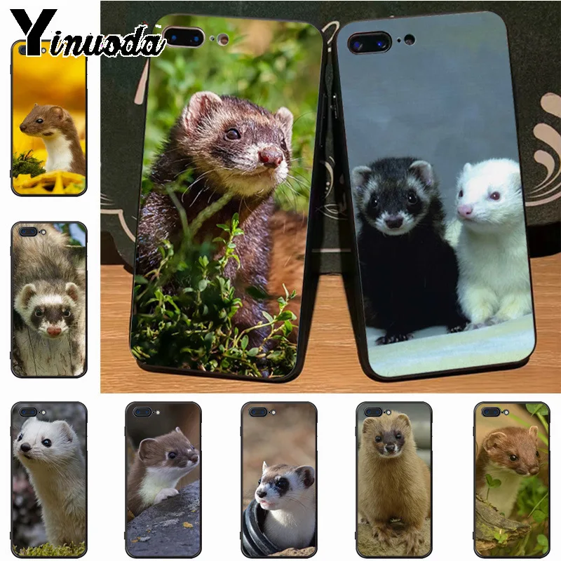 

Yinuoda Ferret Ermine Colored Drawing soft tpu phone Case for Apple iPhone 8 7 6 6S Plus X 5S 11pro SE 5C case Cover
