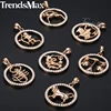 Trendsmax 12 Zodiac Constellations Pendant Necklaces For Women Men 585 Rose Gold Cubic Zirconia Jewelry 2022 Birthday GPM17 ► Photo 2/5