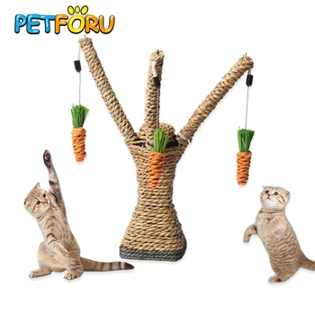 Cat Playing Rope & Scratcher 1