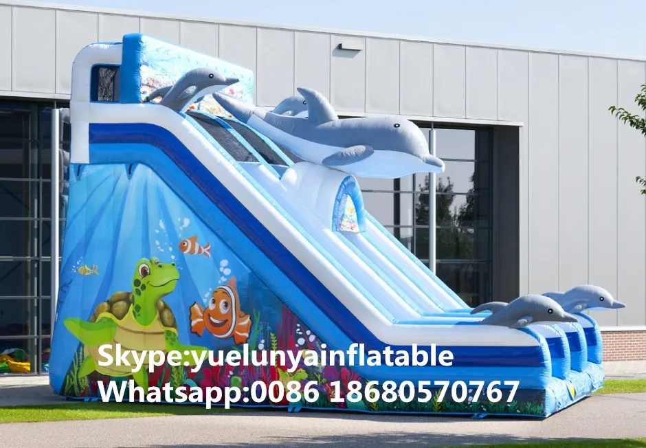 dolfijn_slide-3-940x652_