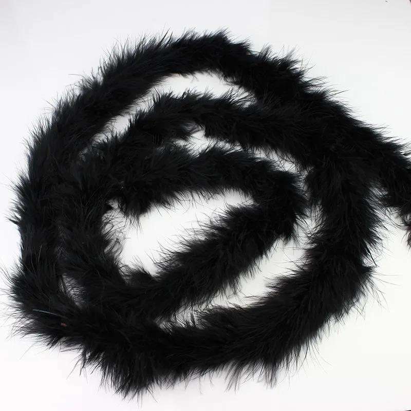 Black feather 