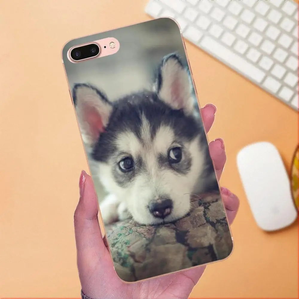 Мягкий художественный чехол для Xiaomi Redmi Note 2 3 3S 4 4A 4X 5 5A 6 6A Pro Plus Husky Dog