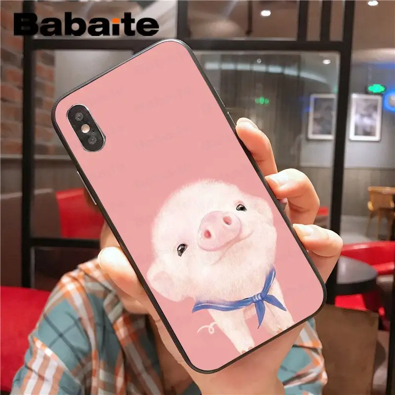 Cartoon Animal Pig