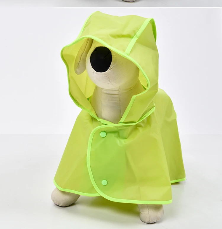 DOG_06