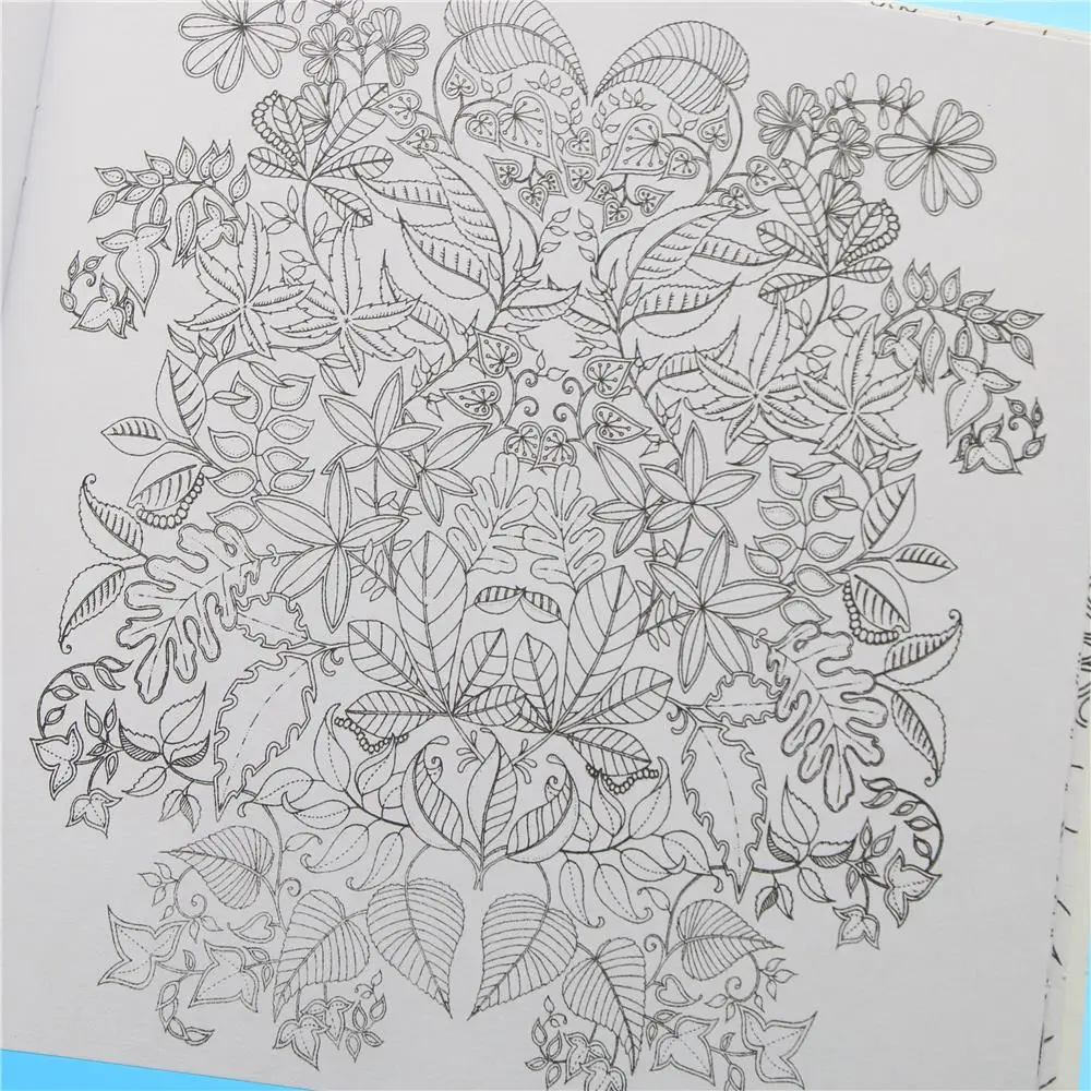 24 Pages Secret Garden English Edition Coloring Book For Children Adult Relieve Stress Kill Time Painting Drawing Book 24 Pages Secret Garden English Edition Coloring Book For Children Adult Relieve Stress Kill Time Painting Drawing Book