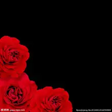 Пользовательские 3d росписи 3D пользовательские цветочные обои спальня гостиная диван столовая Свадьба комната фон красные Обои Настенная роспись с розами