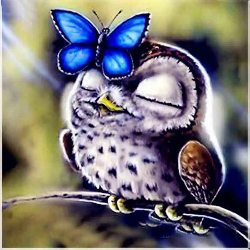 15-baby owl &amp;amp;amp; butterfly