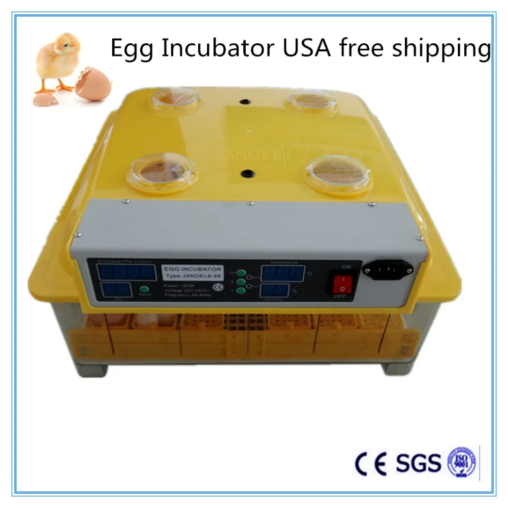 mini incubator for chicken eggs mini incubator for chicken eggs