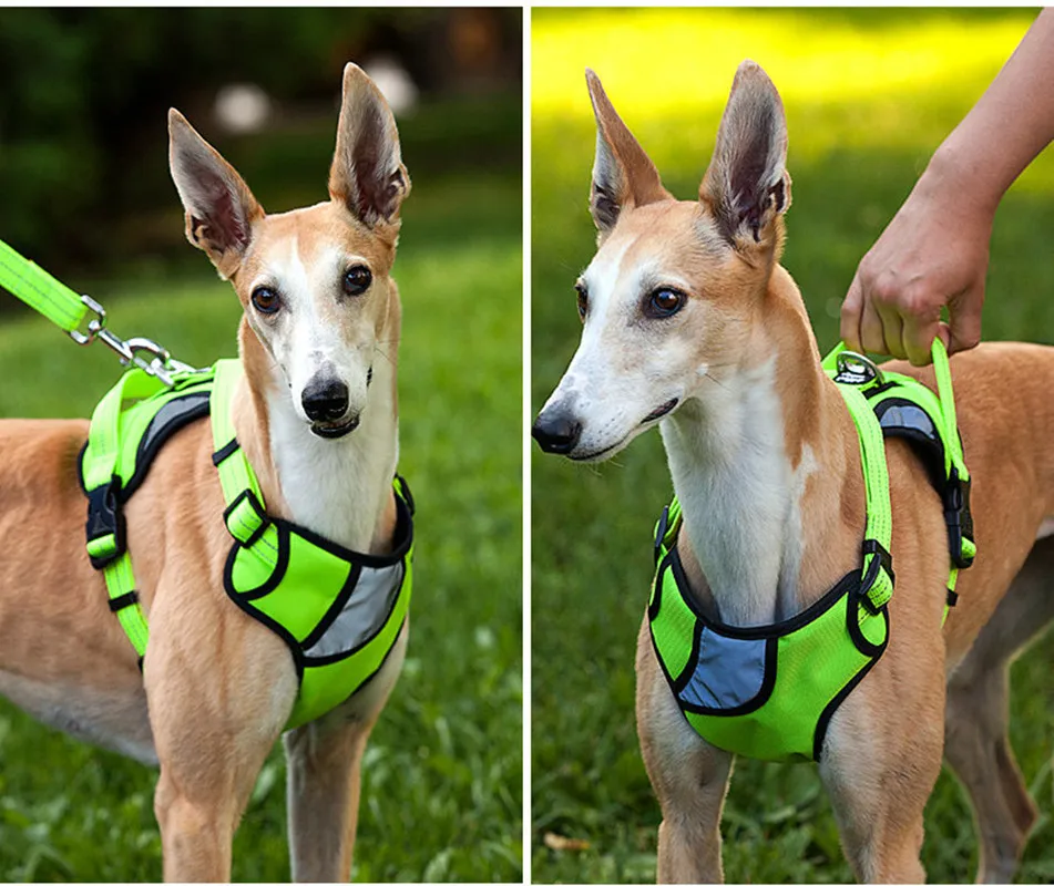 Adjustable Large Dog Harness Nylon Harness for Small Medium Big Dogs