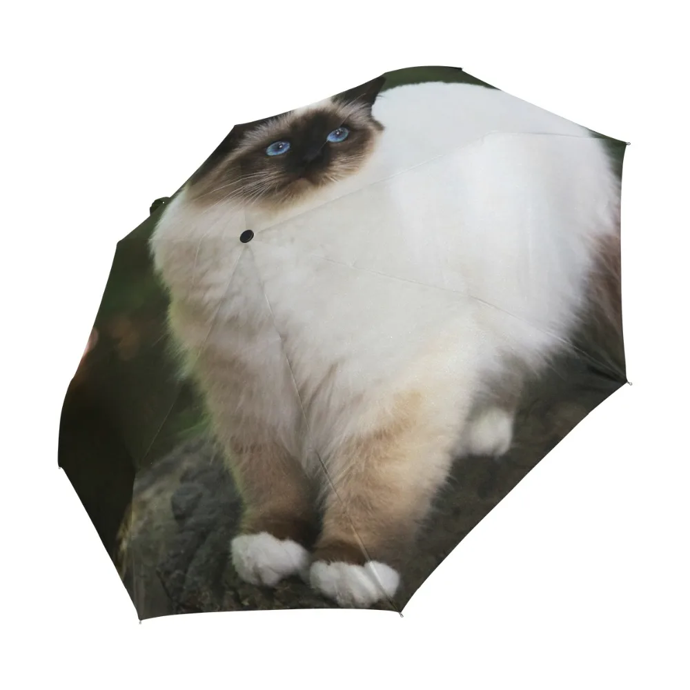 g3059937p127c141s212_1