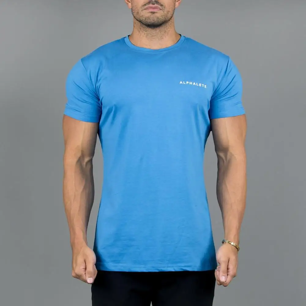 ALPHALETE новая брендовая мужская футболка для бодибилдинга, Спортивная повседневная футболка с коротким рукавом и круглым вырезом, хлопковая Футболка с буквенным принтом для фитнеса, мужские футболки - Цвет: sky blue