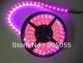

5M /3528 Waterproof IP65 60Leds/Meter 3528 SMD Flexible LED Strip Lights 300 Leds New -PINK