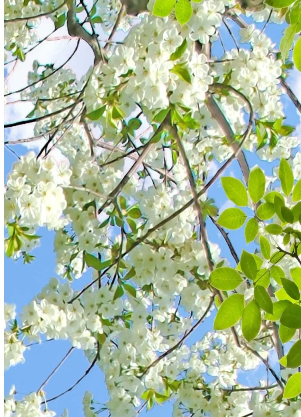 2018-04-14_220257_conew7