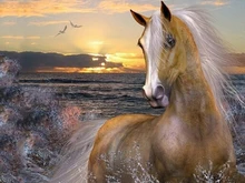 

Diamond Embroidery Animal 3D Diamond Cross Stitch Crystal Full Diamond Set Unfinish Decorative Diy Square Diamond Painting Horse