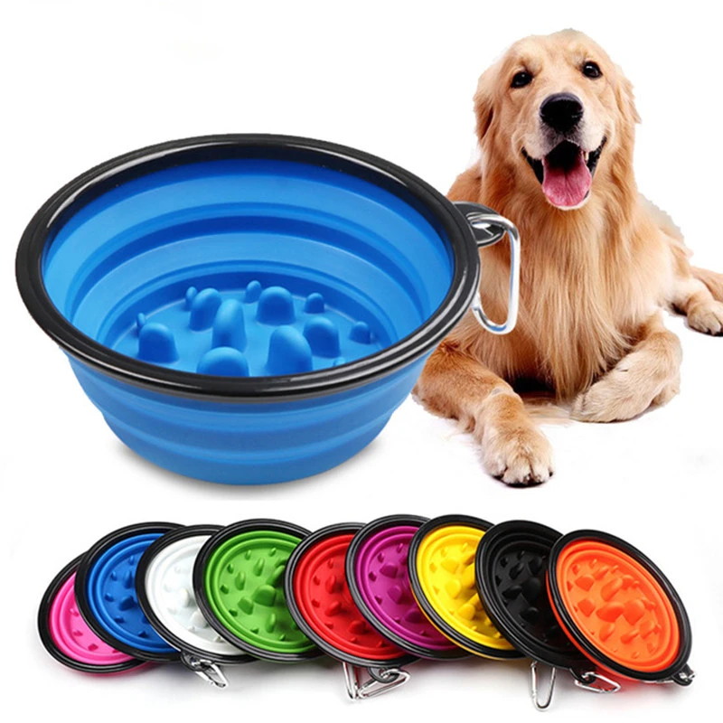 dog food free shipping