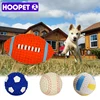 HOOPET Pet Dog Toy Balls Squeak Puppy Toys Interesting Tennis Football Tooth Cleaning Toys for Dogs 1