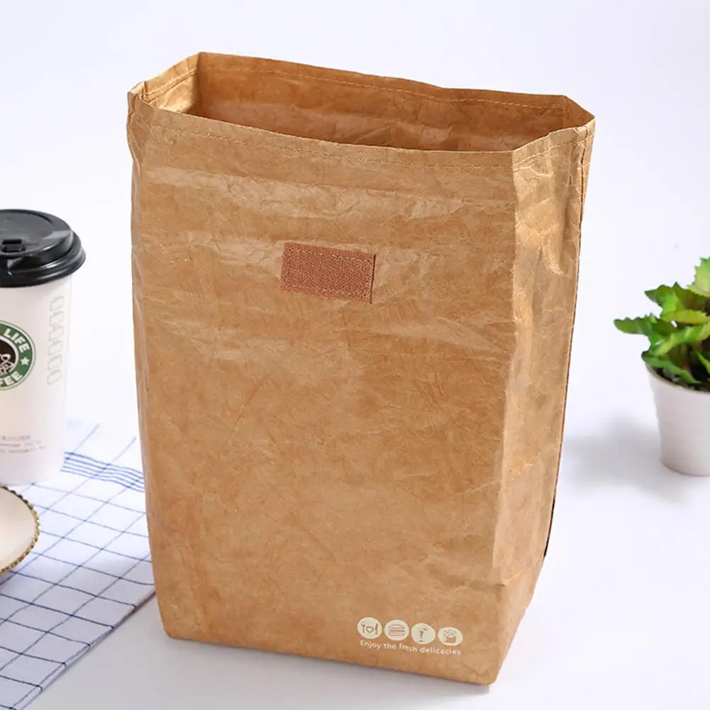 

TPFOCUS Waterproof Reusable Lunch Box Leakproof Insulated Brown Paper Tyvek Lunch Bag