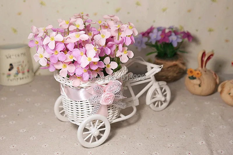 SAM_5016