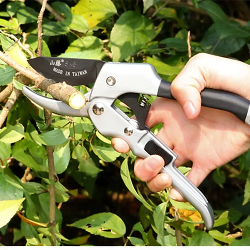 Профессиональные садовые ножницы для обрезки фруктовых деревьев|scissors for garden|trees