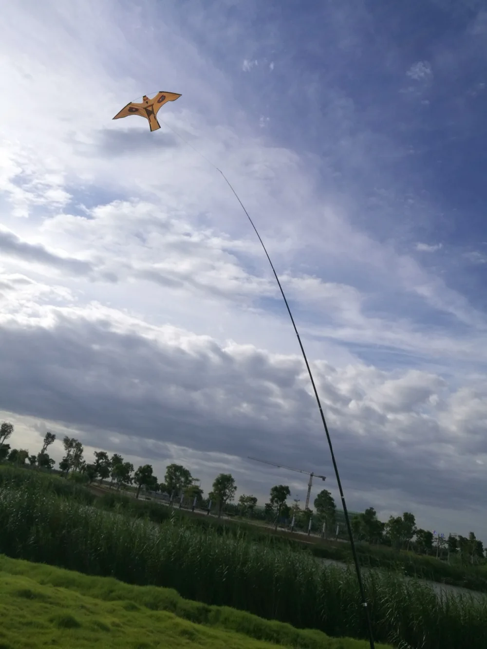 Brown Hawk Kite ,Bird Scarer Hawk Kite Protect Farmers Crops(Kite Only) Brown Hawk Kite ,Bird Scarer Hawk Kite Protect Farmers Crops(Kite Only)