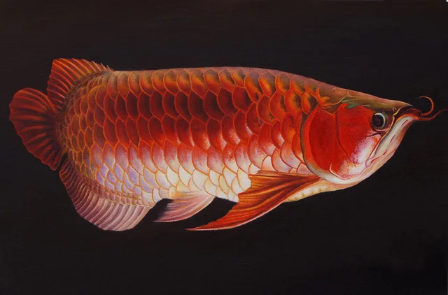 Aliexpress.com : Buy Wholesale art painting # TOP Original ...