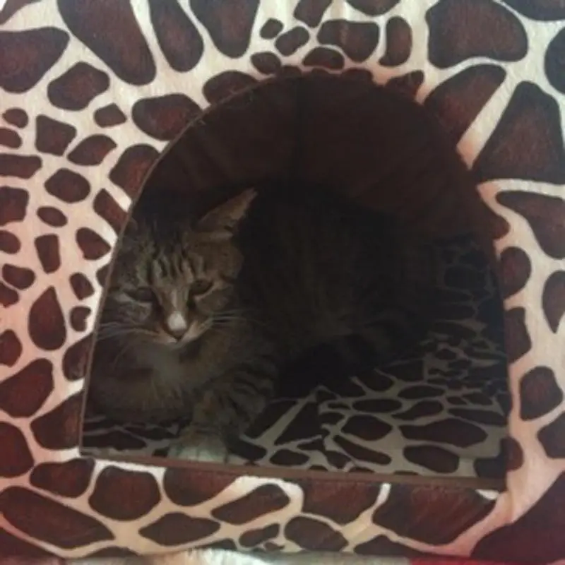 Title 10, Soft Strawberry Leopard Pet Dog Cat House Tent ...