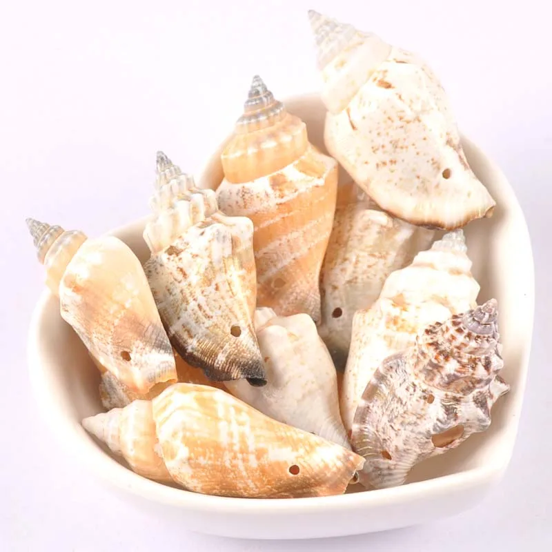 

35-45mm 5pcs Natural Shell Loose Beads for jewelry making Bracelet Necklace Earring Making TRS0275