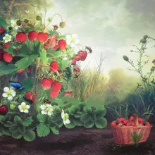 Цветок феи клубника Фея Волшебная фотография фоны компьютерная печать детский фон