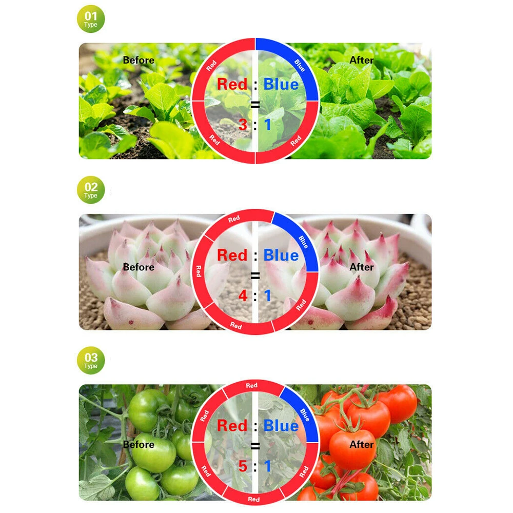 植物效果图