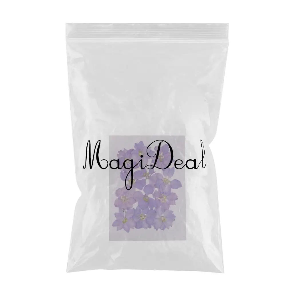 12 Pieces Pressed Dried Real Flower Larkspur for Bookmark Card Making and Resin Casting Handmade Scarpbooking Craft 