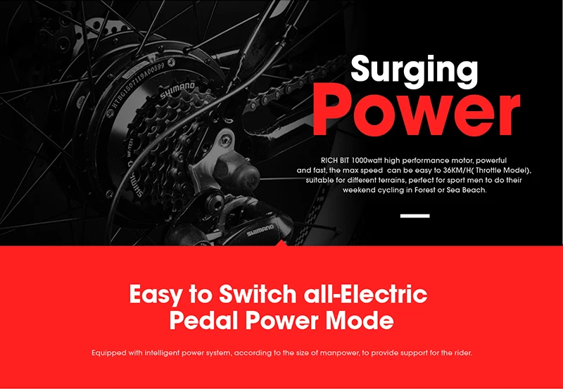 Top RichBit RT-012 Plus Fat Tire ebike 21 speeds 48V 1000W 17Ah Lithium Battery powerful Electric Bicycle With Computer Speedometer 12 Top RichBit RT-012 Plus Fat Tire ebike 21 speeds 48V 1000W 17Ah Lithium Battery powerful Electric Bicycle With Computer Speedometer 12