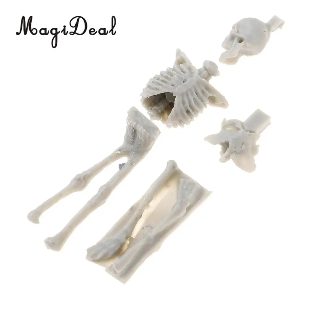 MagiDeal 1Set Unassembly Unpainted Kit 1/35 Scale Resin Skull Skeleton Mini Sand Table Scene for Handmade Art Craft Model Gift